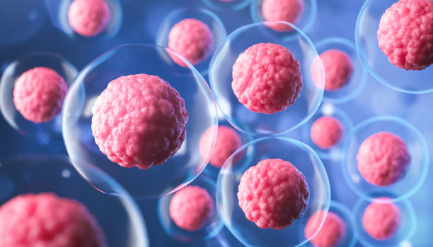 microscope of cell, Embryonic stem cells, Cellular Therapy and Regeneration
