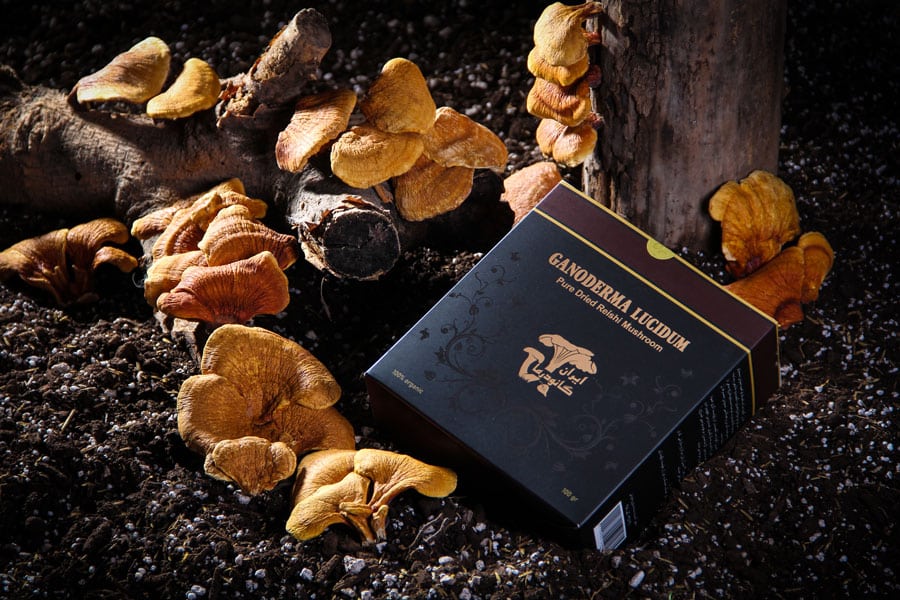 قارچ گانودرما برای بیماری پوستی تصویر 1