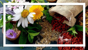گیاهان دارویی و طب ایرانی؛ راهکارهایی نو برای درمان ناباروری و اصلاح سبک زندگی