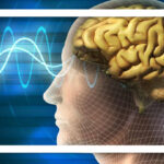 کشف ارتباط شگفت‌انگیز مغز و قلب در بهبود پس از سکته قلبی